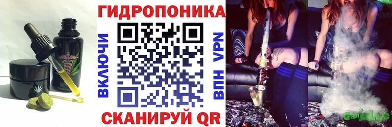 Купить где  Камешково  Cannafood конопля 