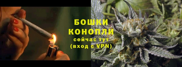 молекула духа Гусев