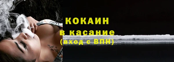 молекула духа Гусев